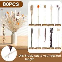 Gedroogd Pampasgras, 80 stuks Pampasdecoratie — thumbnail 5