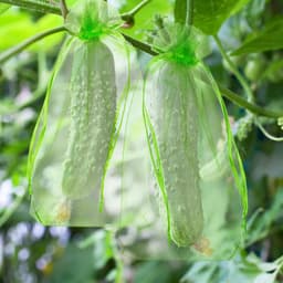 150 Stuks Herbruikbare Fruitbeschermingsnetten met Trekkoord voor Tuin — thumbnail 2