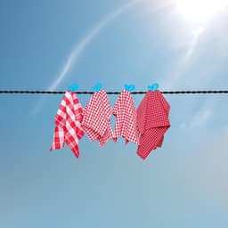 Draagbare kledinglijn - Reiskledinglijn Waslijn - Kleding drogen - Antislip haken - 2.5 Meter - Zwart — thumbnail 2