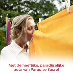 Robijn Paradise Secret 3 in 1 Wascapsules - 4 x 15 wasbeurten - Voordeelverpakking — thumbnail 2