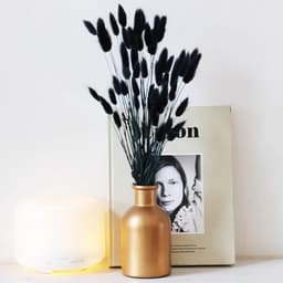 Gedroogde konijnenstaarten bloemen Lagurus konijnenstaarten pampasgras decor zwart gedroogd pampasgras decoratie voor bloemstukken boho bruiloft boeketten woondecoratie tuindecoratie — thumbnail 5