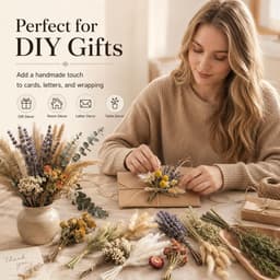 16 soorten droogbloemen, klein, voor vaas en DIY-decor — thumbnail 2