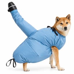 VHV - Huisdier droogzak - Droogzak voor huisdieren - 360° luchtcirculatie - L geschikt voor honden met een - voor honden — thumbnail 1