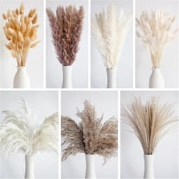125 stuks gedroogd pampasgrasboeket, boho-tafeldecoratie, konijnenstaarten gedroogde bloemen, bruin pampas, wit pampasgras voor bruiloften, thuisdecoratie, rustieke feesten en babyshowerdecoraties — thumbnail 3