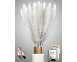 Gedroogd pampasgras 30 stuks - extra duurzame droogbloemen - decoratie voor woonkamer, slaapkamer, badkamer, vaas boeket droogbloemen, Boho decoratie (wit)