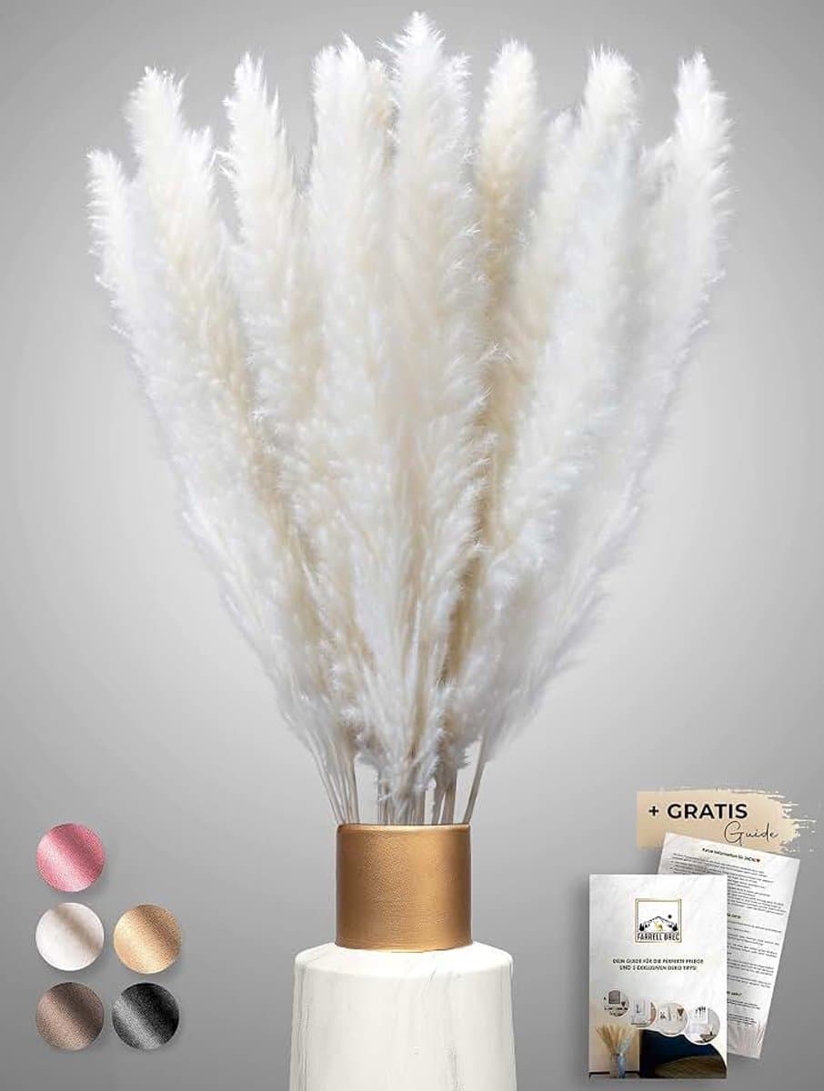 Gedroogd pampasgras 30 stuks - extra duurzame droogbloemen - decoratie voor woonkamer, slaapkamer, badkamer, vaas boeket droogbloemen, Boho decoratie (wit) — afbeelding 1