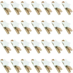 Dailygoods- Sterren Wasknijpers 100 Stuks - Houten Clips - Decoratieve Klemmen - Handwerk - Klemmen voor Kerstmis - Duurzaam Hout - Decoratieve Knijpers — thumbnail 1