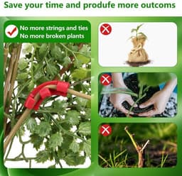 Groeiklemmen - 100 Stuks - Instelbare Planksteun - Ondersteuning Plantenschors - Verbeterde Luchtcirculatie - Herbruikbaar - Duurzaam - Plantsteun — thumbnail 4