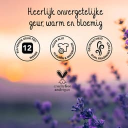 Cosmeau Geurbooster Made in Holland 50 Wasbeurten Navulling Lavendel 250 gr NL — thumbnail 2