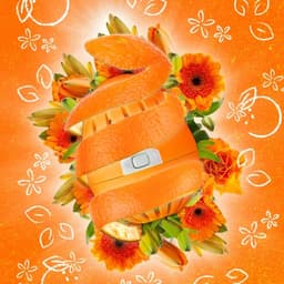 EcoEgg Was ei – Oranjebloesem - Wasparels – Navulbaar – Geschikt voor de gevoelige huid – Dermatologisch getest - 70 wasbeurten - Oranje — thumbnail 3
