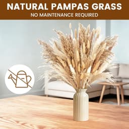 Gedroogd Pampasgras, 110 stuks Pampasdecoratie — thumbnail 3