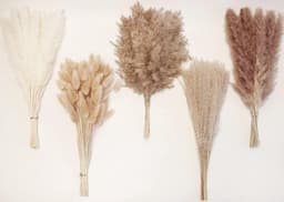Gedroogde Pampasgras Decoratie, 110 stuks Pampasgras Bevat Witte Konijnenstaarten Gedroogde Bloemen, Kunstbloemen voor Badkamerdecoratie, Badkamerwanddecoratie — thumbnail 1