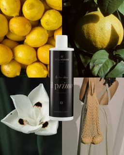 Rosaodor Wasparfum IL PRIMO 500 ml – Geconcentreerd wasparfum — thumbnail 2