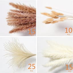 Droogbloemen, decoratie, kleine natuurlijke gedroogde boeketten van pampasgras, boho-decoratie, voor woonkamer, tafel, slaapkamer, bruiloften, badkamer, 70 stuks — thumbnail 3
