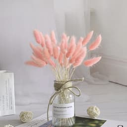 Gedroogd pampasgras, konijnenstaart, gras, 60 stuks, natuurlijke droogbloemen, boeket, decoratie, kunst, groot, droogbloemen, pampasgras voor interieur, fotografie, bruiloft, roze — thumbnail 4