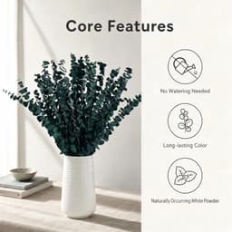 Gedroogde Eucalyptusstelen 43 cm (Blauw) — thumbnail 2