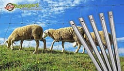 Grondankers voor Wildhekken - W-profiel 50 cm — thumbnail 3