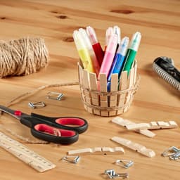 Duurzame Houten Wasknijpers van Berkenhout - 60 Stuks voor Kleding en Handwerk — thumbnail 5