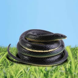 Speelgoed Nep Slang 130cm Zachte Rubberen Slang Tuin Props Grappige Grap. — thumbnail 2