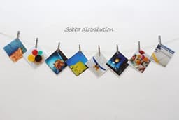 Wasknijpers - Kledingklemmen - Was ophangen - Roestvrij staal - 20 stuks - Zilver — thumbnail 2