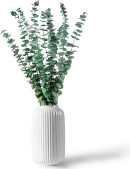 Gedroogde gedroogde gedroogde bloemen decoratief 45 cm natuurlijk fris groen met echte eucalyptusbladeren plant ideaal voor vazen bloemstukken bruiloftsdecoraties en wooncultuur — thumbnail 1