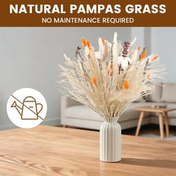 Gedroogd Pampasgras, 80 stuks Pampasdecoratie — thumbnail 4