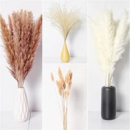 Droogbloemen, decoratie, kleine natuurlijke gedroogde boeketten van pampasgras, boho-decoratie, voor woonkamer, tafel, slaapkamer, bruiloften, badkamer, 70 stuks — thumbnail 4