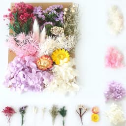 Gedroogde bloemen, decoratieset, gedroogde geperste bloemen, klein voor doe-het-zelf artistieke kaarsen, scrapbooking, handwerk, gemengd - roze tinten — thumbnail 1
