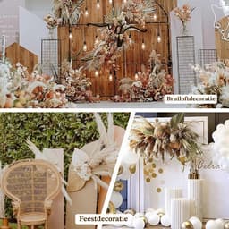 120 stuks decoratie van gedroogd pampasgras, gedroogd pampasgras — thumbnail 5