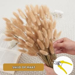 Pampas, 60 Stuks Natuurlijke Droogbloemen, Pampasgras, Konijnenstaart, Boho-Decoratie, Super Pluizig voor Thuis, Bruiloftsdecoratie (Natuurlijke Kleur) — thumbnail 5