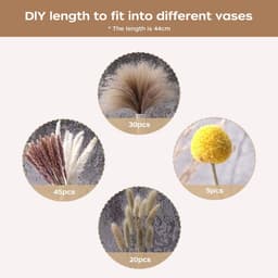 100-delige Pampas Gras droge bloemen decoratie, Fluffy droge bloemen, droge bloem boeket voor bruiloft tafel vazen Woonkamer Boho Home Decor (luxe) — thumbnail 2