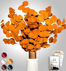 Black Week Birkental eucalyptus - extra duurzame en 65-70 cm lange droogbloemen decoratie - gedroogde eucalyptus - gedroogde bloemen, vaas droogbloemen boeket, boho decoratie (oranje) — thumbnail 2