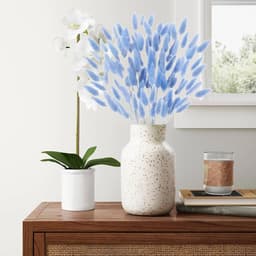 Gedroogde konijnenstaartbloemen, konijnenstaart, pampasgras, gedroogde bloemen, decoratief pampasgras, blauw gedroogd pampasgras, decoratie, geschikt voor thuis, bruiloften — thumbnail 5