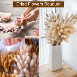 50 stuks Code, natuurlijk gedroogd pampasgras, konijnstaart, gedroogde bloemen, 45,7 cm, mini pampasgras, lagurus, ovatus bunch voor bloemendecoratie voor thuis, zwart — thumbnail 1