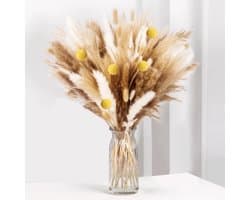 100-delige Pampas Gras droge bloemen decoratie, Fluffy droge bloemen, droge bloem boeket voor bruiloft tafel vazen Woonkamer Boho Home Decor (luxe)