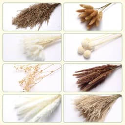 Decoratie 109 Stuks Natuurlijk Droogbloemen Boeket voor Tafeldecoratie DIY Boho Stijl Gedroogde Pampasdecoratie Kunstmatige Gedroogde Bloemen Boeket voor Woonkamer, Slaapkamer en Bruiloft — thumbnail 4