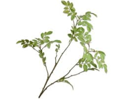 Zijden bloemblad tak, groen, 76 cm