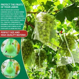 Beschermhoezen Fruit - Netzakjes Vruchten - Vruchten Beschermen - Ademend Materiaal - 120 Stuks - Groen — thumbnail 3