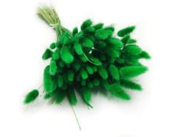 Dekogras gedroogd gras, siergras, konijnenstaarten, Lagurus Ovatus, fluwelen gras, hazenstaartgras, gedroogde bloemen, natuurlijk, boho, 120-150 stuks, 100 g, groen