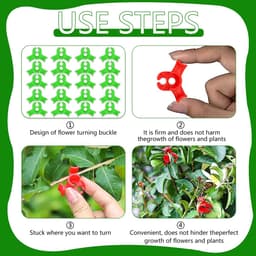 Dailygoods- Groeiklemmen - 100 Stuks - Instelbare Planksteun - Ondersteuning Plantenschors - Verbeterde Luchtcirculatie - Herbruikbaar - Duurzaam - Plantsteun — thumbnail 5