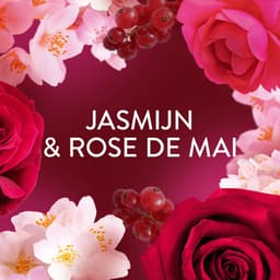Lenor Wasverzachter Jasmijn & Rose de Mai - 12 x 42 Wasbeurten — thumbnail 5