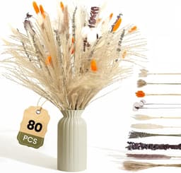 Gedroogd Pampasgras, 80 stuks Pampasdecoratie — thumbnail 1