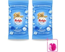 2 x Robijn – Droogtrommeldoekjes – Morgenfris - 20 Doekjes - Bulkverpakking - Droogtrommeldoekjes - Douchemop - Wasgoed drogen