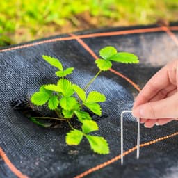 Tuingrondankers, 100 stuks, 100 x 20 x 2,5 mm, verzinkte stalen klemmen, grondankers, haringen, U-vormige grondnagels, professionele grondanker, zware tuinnagels, stalen palen voor onkruidfolie — thumbnail 3