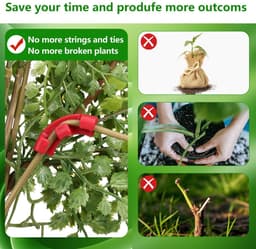 Dailygoods- Groeiklemmen - 100 Stuks - Instelbare Planksteun - Ondersteuning Plantenschors - Verbeterde Luchtcirculatie - Herbruikbaar - Duurzaam - Plantsteun — thumbnail 2