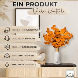 Black Week Birkental eucalyptus - extra duurzame en 65-70 cm lange droogbloemen decoratie - gedroogde eucalyptus - gedroogde bloemen, vaas droogbloemen boeket, boho decoratie (oranje) — thumbnail 5