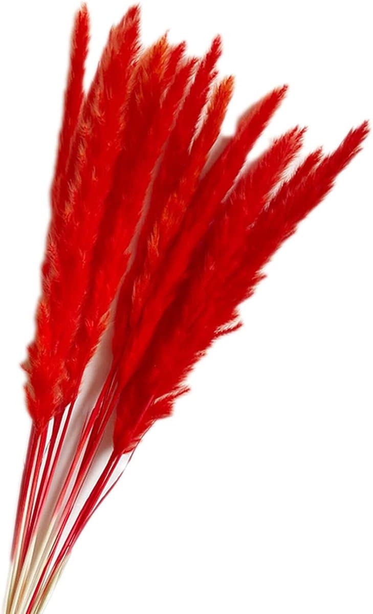 Gedroogde Bloemen, Pampas Gras DIY Handgemaakte Valentijnsdag Bruiloft Woondecoratie Boeket Pampas Grass (Color : Red) — afbeelding 1