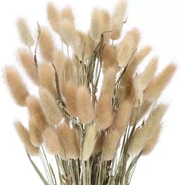 Gedroogd pampasgras, konijnenstaart, gras, 60 stuks, natuurlijke droogbloemen, boeket, decoratie, kunstbloemen, grote gedroogde bloemen, pampasgras voor interieurdecoratie, fotografie — thumbnail 1