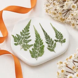 Gedroogde varenblaadjes van 4-6 cm met pincet voor knutselprojecten — thumbnail 2