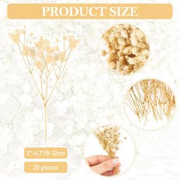 Gedroogde sluierkruid, 15 cm, droogbloemen, sluierkruit, droogbloemen om te knutselen, droogbloemenboeket, droogbloemen, decoratie voor doe-het-zelf, bruiloftsdecoratie, bruidsboeketten, wooncultuur — thumbnail 4